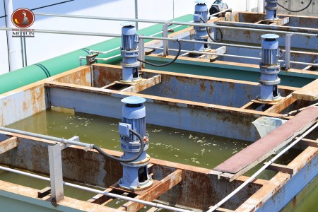 Empresa Siderúrgica del Mutún