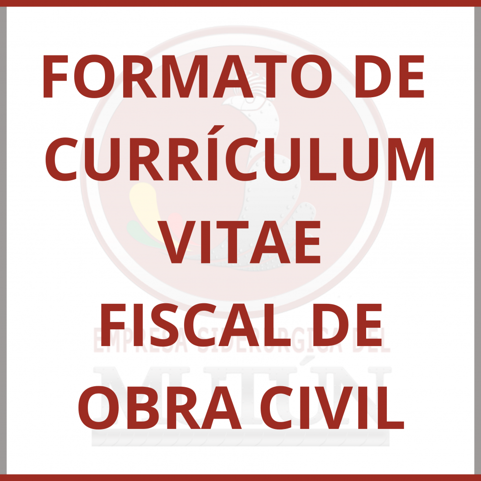 FORMATO DE CURRÍCULUM VITAE-FISCAL DE OBRA CIVIL  - Empresa Siderúrgica del Mutún
