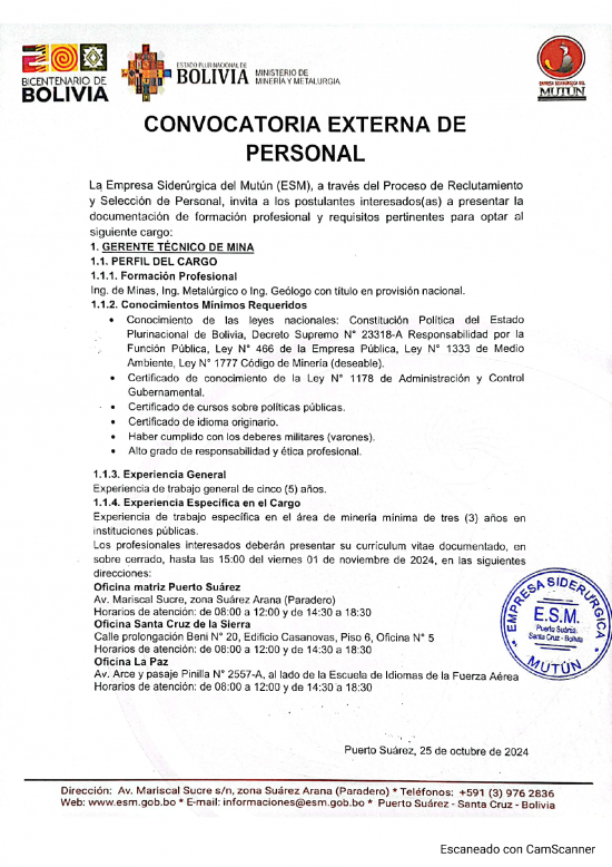 CONVOCATORIA GERENTE TÉCNICO DE MINA  - Empresa Siderúrgica del Mutún