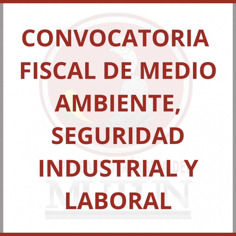 CONVOCATORIA FISCAL DE MEDIO AMBIENTE, SEGURIDAD INDUSTRIAL Y LABORAL  - Empresa Siderúrgica del Mutún