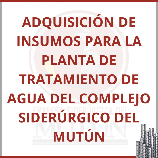 ADQUISICIÓN DE INSUMOS PARA LA PLANTA DE TRATAMIENTO DE AGUA DEL COMPLEJO SIDERÚRGICO DEL MUTÚN.  - Empresa Siderúrgica del Mutún