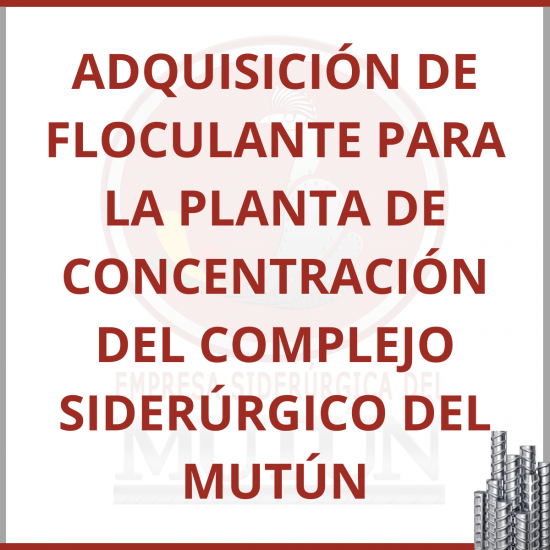ADQUISICIÓN DE FLOCULANTE PARA LA PLANTA DE CONCENTRACIÓN DEL COMPLEJO SIDERÚRGICO DEL MUTÚN  - Empresa Siderúrgica del Mutún