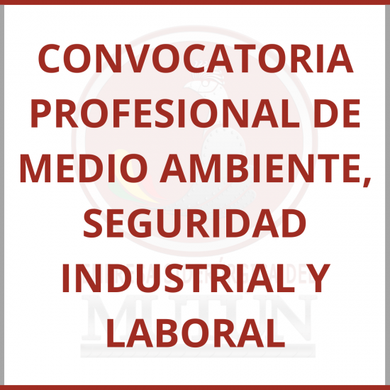 CONVOCATORIA PROFESIONAL DE MEDIO AMBIENTE, SEGURIDAD INDUSTRIAL Y LABORAL  - Empresa Siderúrgica del Mutún
