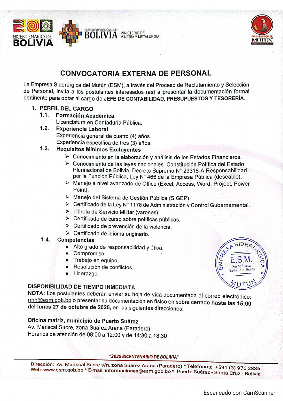 CONVOCATORIA JEFE DE CONTABILIDAD, PRESUPUESTOS Y TESORERÍA  - Empresa Siderúrgica del Mutún