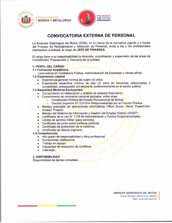 CONVOCATORIA JEFE DE FINANZAS  - Empresa Siderúrgica del Mutún