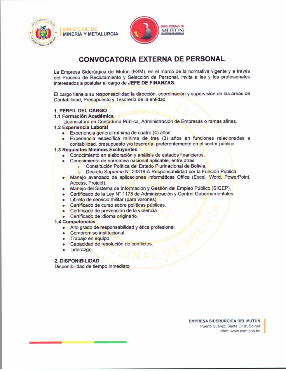 CONVOCATORIA JEFE DE FINANZAS  - Empresa Siderúrgica del Mutún