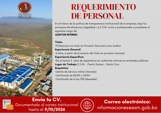AUDITOR INTERNO  038/2026  - Empresa Siderúrgica del Mutún