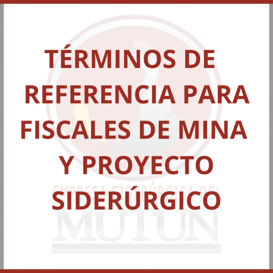TÉRMINOS DE REFERENCIA PARA  FISCALES MINA Y PROYECTO SIDERÚRGICO  - Empresa Siderúrgica del Mutún
