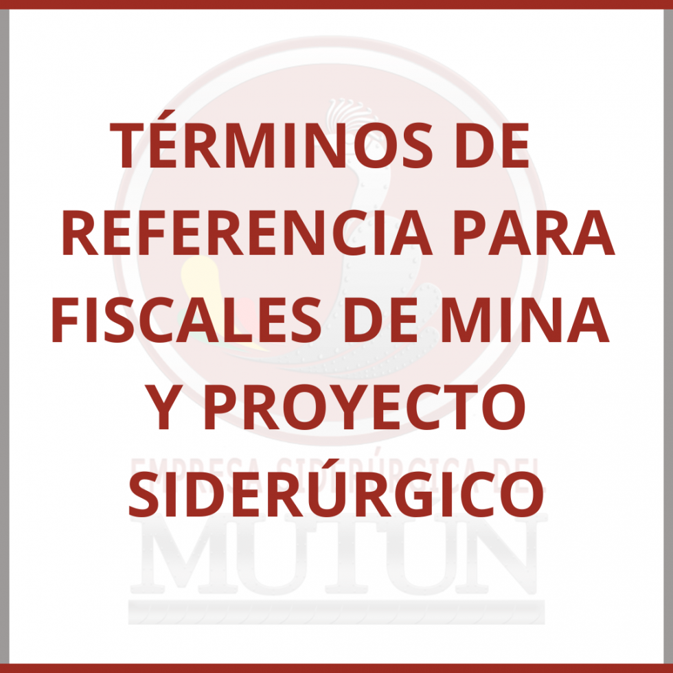 TÉRMINOS DE REFERENCIA PARA  FISCALES MINA Y PROYECTO SIDERÚRGICO  - Empresa Siderúrgica del Mutún