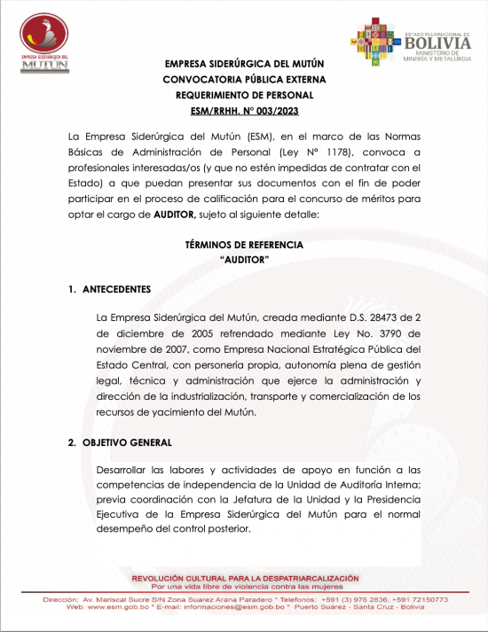 CONVOCATORIA AL CARGO DE AUDITOR 