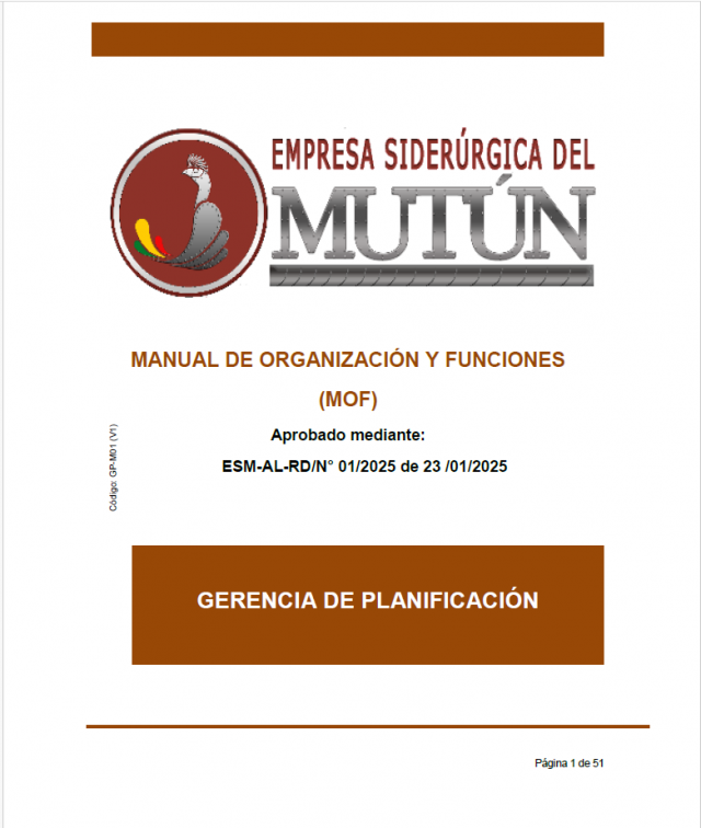 MANUAL DE ORGANIZACIÓN Y FUNCIONES (MOF) EMPRESA SIDERÚRGICA DEL MUTÚN  - Empresa Siderúrgica del Mutún