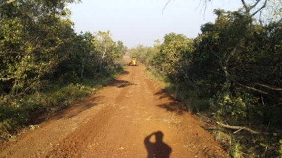 Cuadro Guzman
