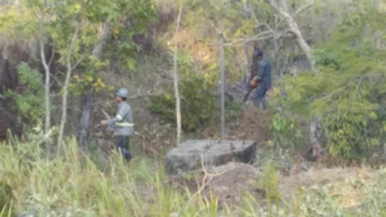 Cuadro Guzman