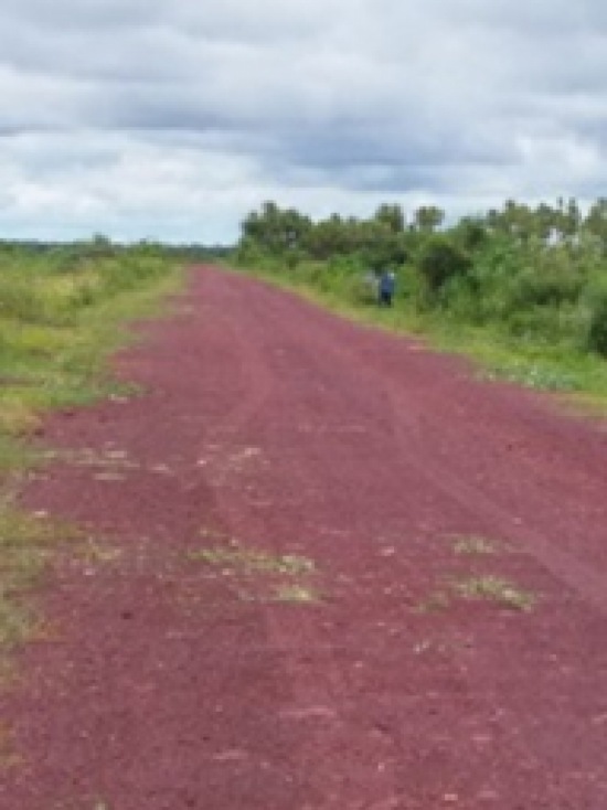 Mantenimiento camino San Juan - Puerto Busch