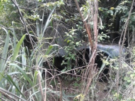 Reapertura del camino y la mina de manganeso (San Pedrito)