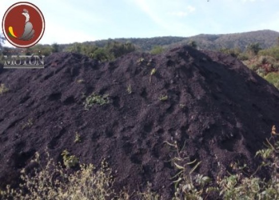 Reapertura de la mina de manganeso en el cerro Mutún